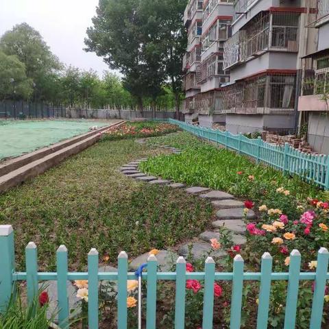 社区绿地着彩裳 养绿护绿我当家