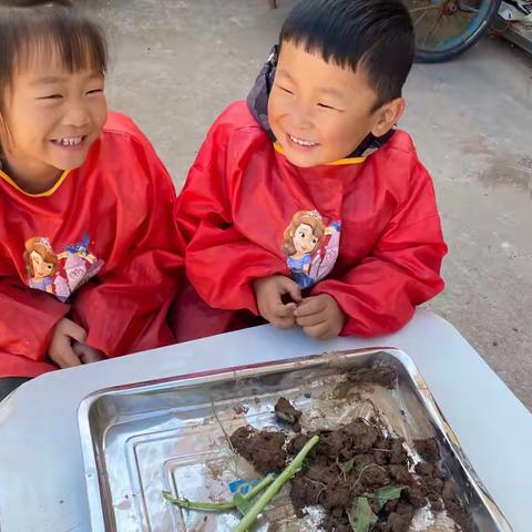 乐享童年，与“泥”相约——河西幼儿园中班泥巴区自主游戏