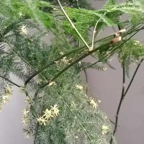 郯城县第三实验小学三年级每周一讲——名人勤学好问的小故事