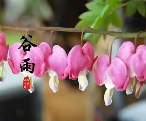 云端网课齐参与，不负春日好时光——郯城县第三实验小学三年级组第六周线上教学掠影