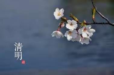 【广利街道中心幼儿园】又逢清明