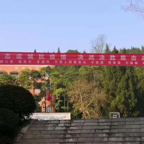 直面疫情   砥砺前行