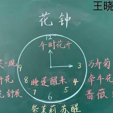 一撇一捺展芳华，一笔一画绘春秋——丰县人民路小学文博校区三年级板书设计展示