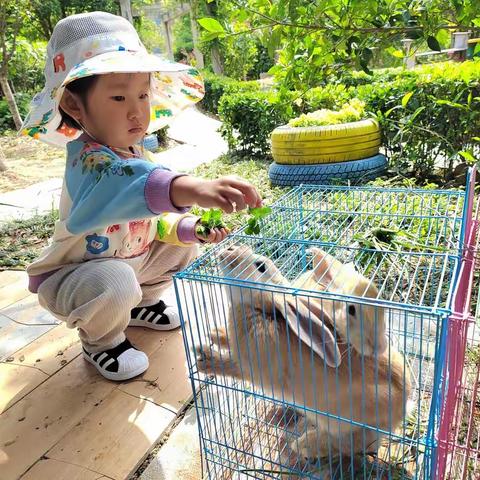 朝阳班加加小公主生活日常