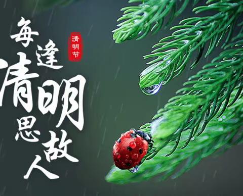 育人学校二年十班——“线上”清明主题活动