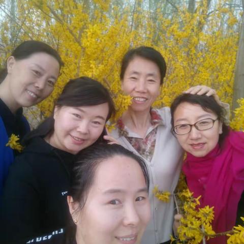 春来赏析花语，夕下书写小镇