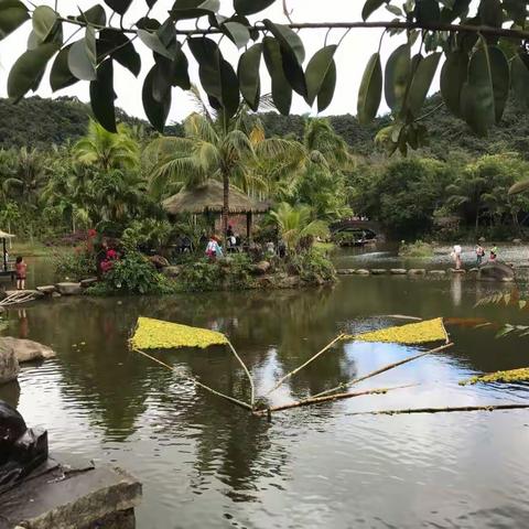 呀诺达热带雨林中的湿度公园，风景真是太美了。