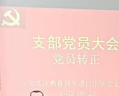 发展新党员，注入新力量——庆“七一”贺“七一”牛道口小学党员转正纪实