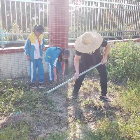 文昌市抱罗镇泰山小学——以劳动教育赋能“双减”，助力学生德智体美劳全面发展