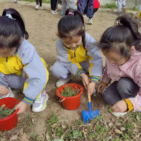 悦劳动，趣成长——临盘街道中心幼儿园幼小衔接系列活动