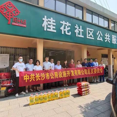 支部共建聚合力  学史力行办实事