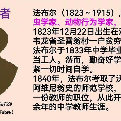 向美而行 臻于至善——滕州市至善学校《昆虫记》阅读指导
