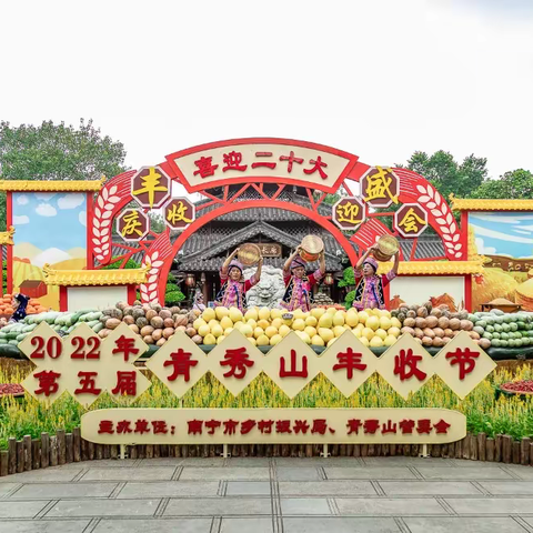 向下深扎，向上生长