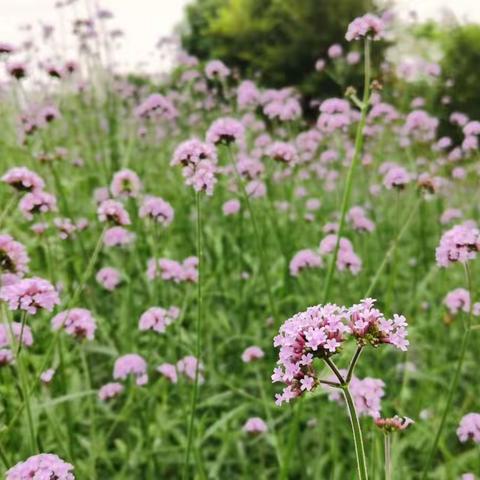 我们把父母做好，孩子自有向上的力量