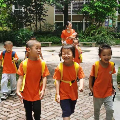 善道幼儿园的美篇