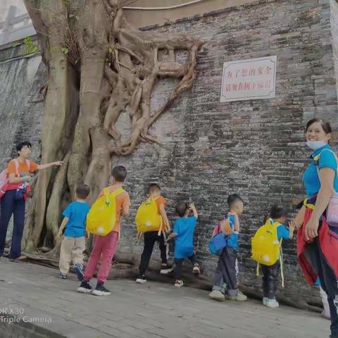 善道幼儿园的美篇