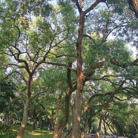 爱、成长、责任