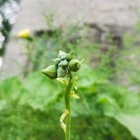 善道幼儿园的美篇