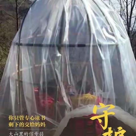 守护与渴望，致敬每一位“最美”家长！