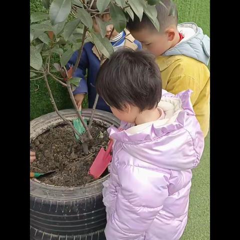 "豆芽"——IC1班食育课