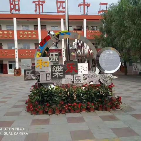 在交流中学习，在总结中成长——南阳市第四十二小学召开语文线上随堂练习总结