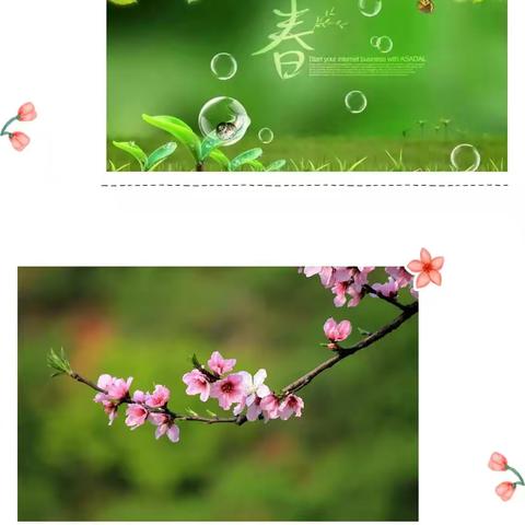 停课不停学倒峡小学四年级网络学习有序进行中