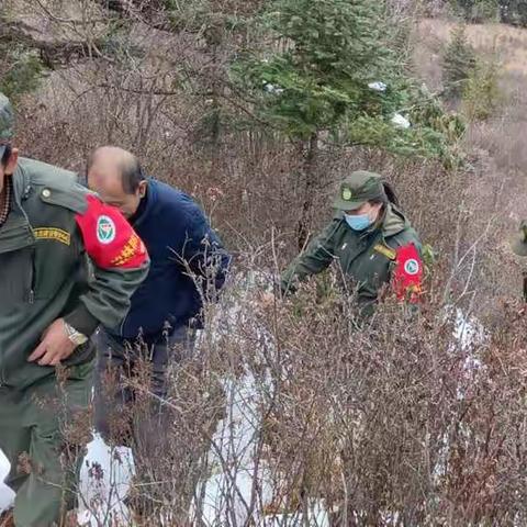 冶力关林场防火期护林防火工作动态