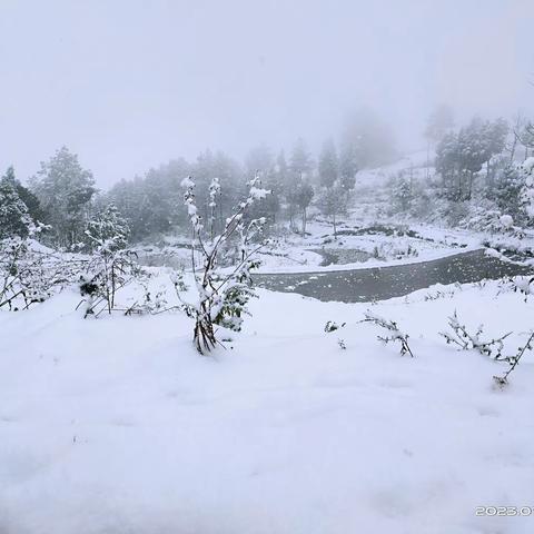 雪与冬的约定  南高初2022级17班丁玺博