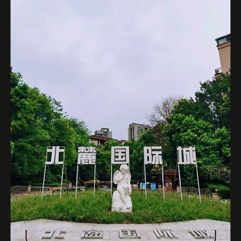 九里香堤物业—北麓国际城A区项目2021年8月服务简报