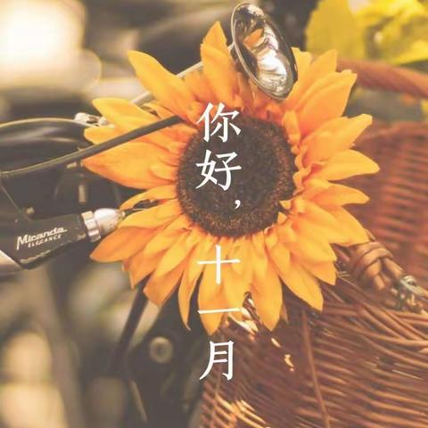 九里香堤物业-北麓国际城项目近期工作简报