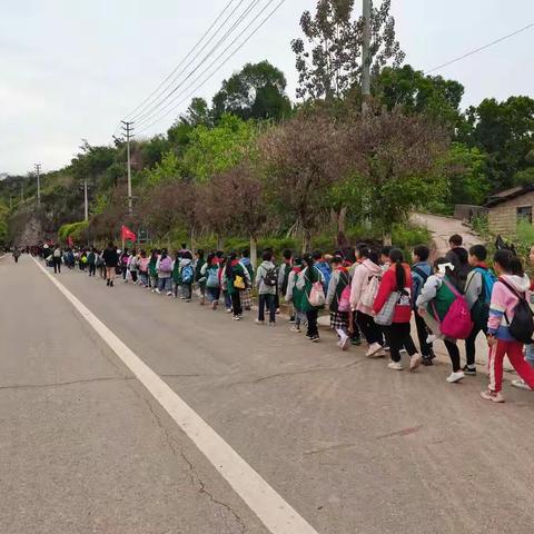 春意正浓花开满枝，贾岛学子踏春游记