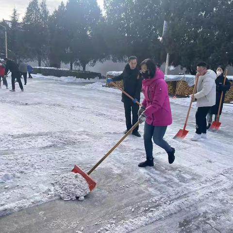 向冰雪宣战，展组工风采