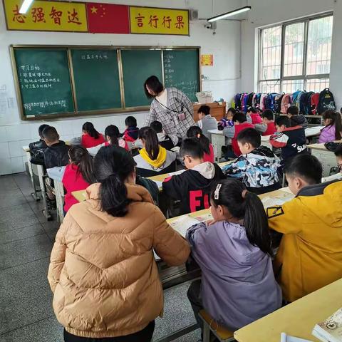 初冬未见一片雪，先见梅开傍花庵～华侨阳光小语组来了