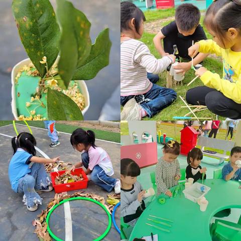 游戏回顾生成课程，教学展现风采 ——新江镇中心幼儿园学前教育第七指导责任区教研活动