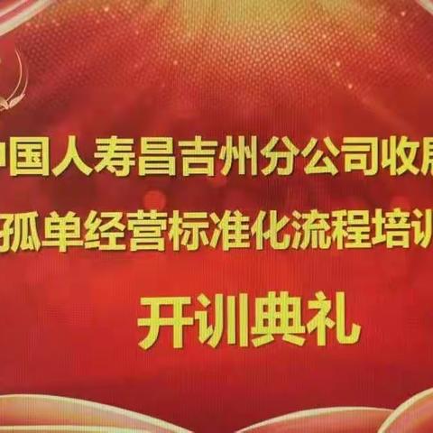 专业致胜    服务创新