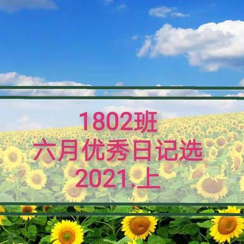 我们的2021——日记篇（七）