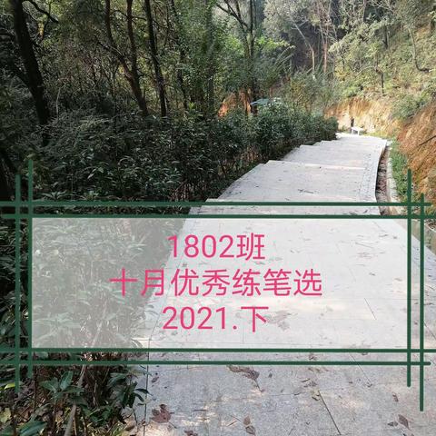 我们的2021——小练笔（10）