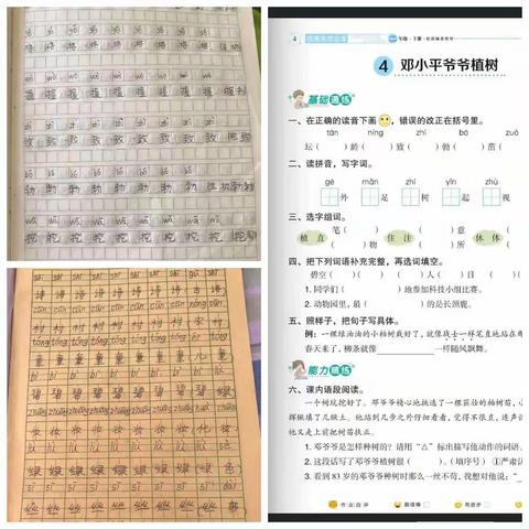 8班的孩子们，每天学习运动两不耽误