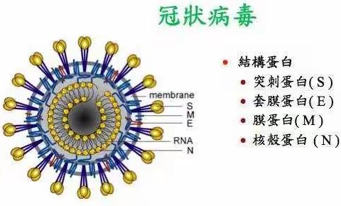 抗击疫情，从我做起—双语学校一年级十班