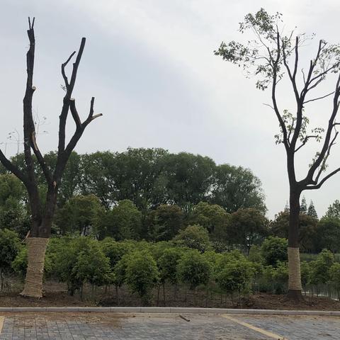 扎实推进人居环境整治，共建美丽新农村