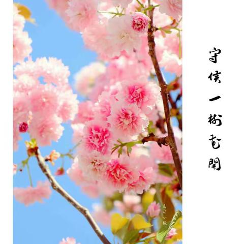 面对疫情，请收下这份“心理处方”