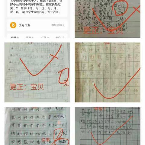 张楼小学一周线上教学总结