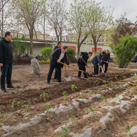 得空去种菜      劳动欢乐多——张掖市分公司迎五一活动小记