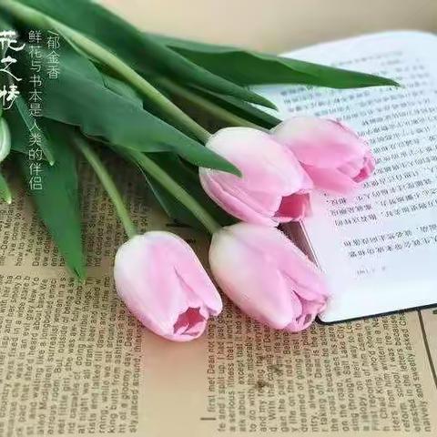 学思践行  知行合一——太原市第三十二中学校三年三班暑假项目式作业展示