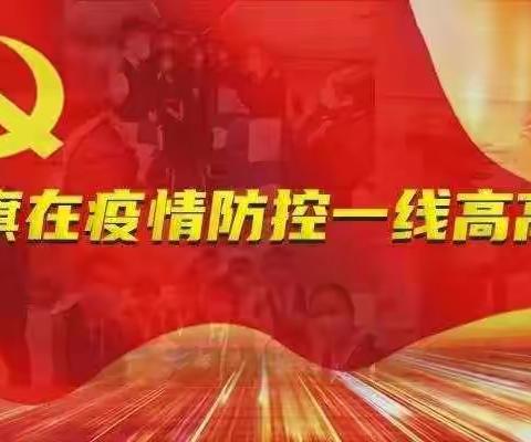 【八一小学】学习抗疫事迹         凝聚奋进动力——八一小学党支部在行动