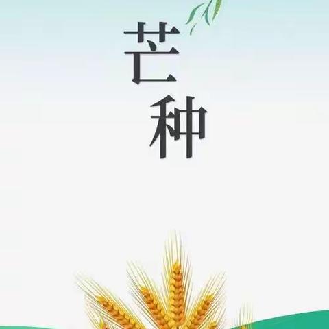 芒种至  仲夏始