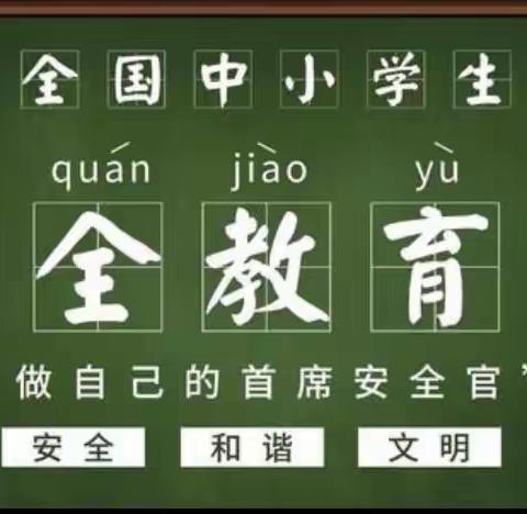 “普及安全知识， 提高避险能力”第26个全国中小学生安全教育日中岗镇中心幼儿园小班组