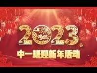 欢天喜地迎新年，玉兔呈祥贺新春－－中一班幼儿迎新年系列活动