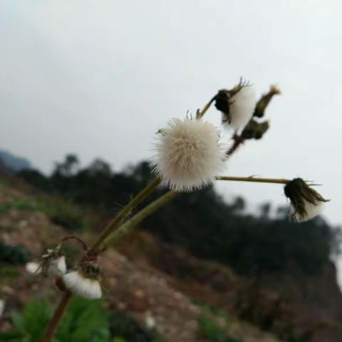 我是你前世未带走的一片白云