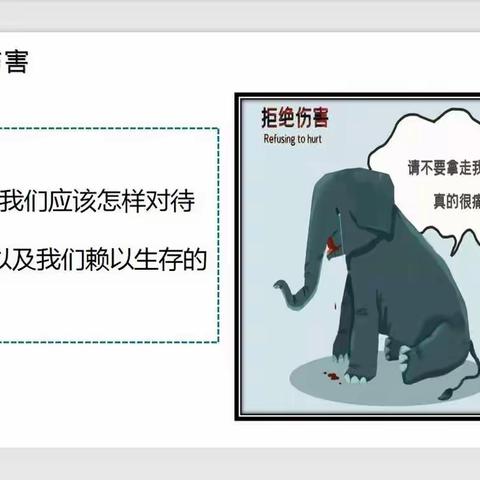 东汪小学——疫情防控小课堂